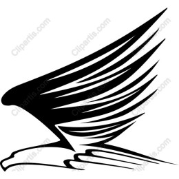 Elegance in Flight: Eagle Wing