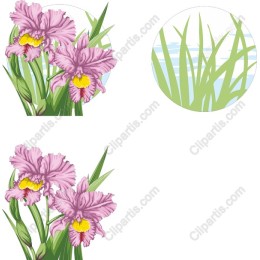 Pink Orchid Floral