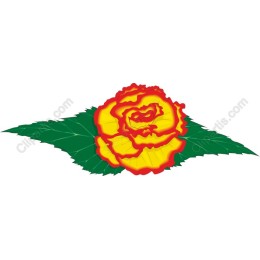 Vibrant Yellow and Red Rose