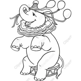 Circus Elephant