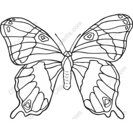 Elegant Butterfly Outline