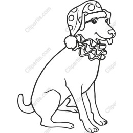 Playful Dog with Festive Hat and Ruffle Collar