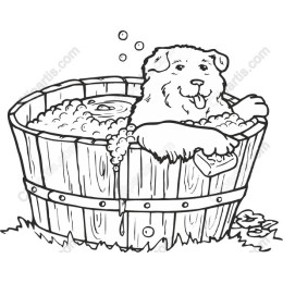 Happy Dog Bath Time