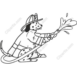 Dalmatian Firefighter