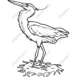 Heron