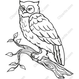 Majestic Owl