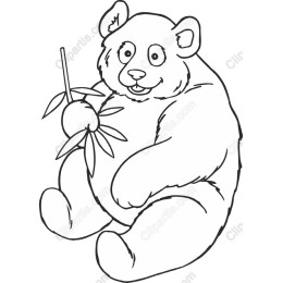 Adorable Panda