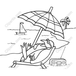 Charming Beach Bird