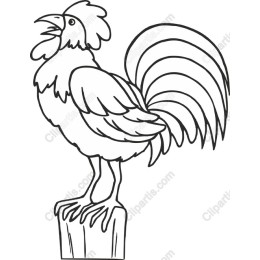 Proud Rooster