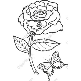 Elegant Rose and Butterfly