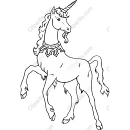 Majestic Unicorn