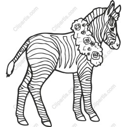 Floral Zebra
