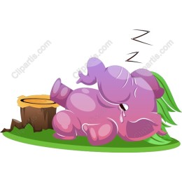 Sleeping Elephant
