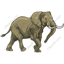 Majestic Elephant