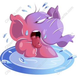 Playful Elephant Splash