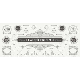 Limited Edition Retro Frame Set