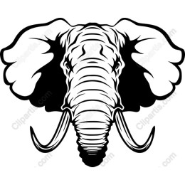 Majestic Elephant Head