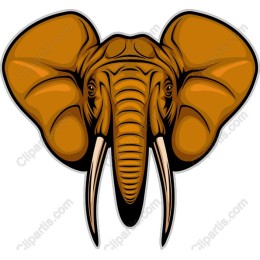 Majestic Elephant