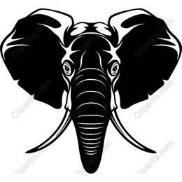 African Elephant