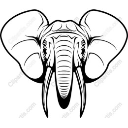 Majestic Elephant