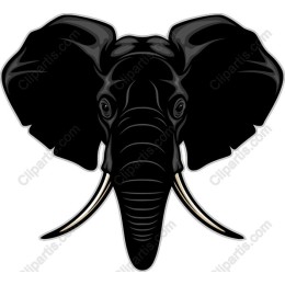 Black Elephant