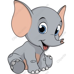 Cute Baby Elephant
