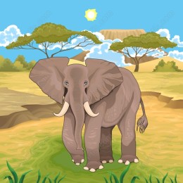 Majestic African Elephant