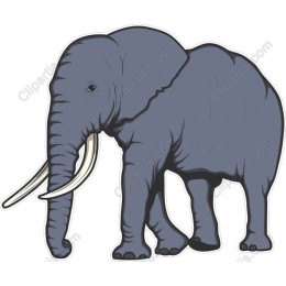 Majestic Elephant