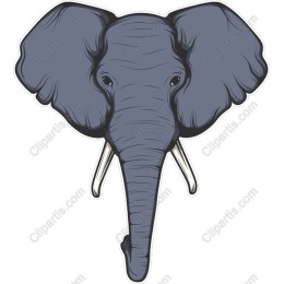 Majestic Elephant