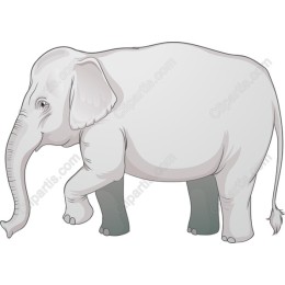 Charming Elephant