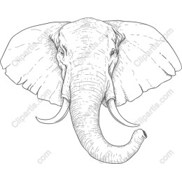 Majestic Elephant Line Art