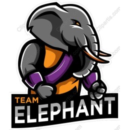 Team Elephant