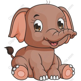 Playful Baby Elephant