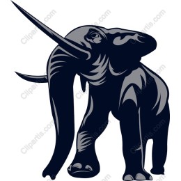 Majestic Elephant