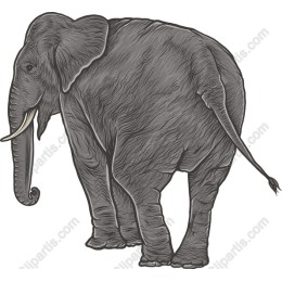 Majestic Elephant