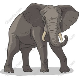 Majestic Elephant