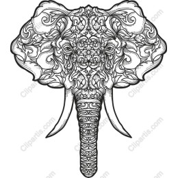 Intricate Elephant Floral
