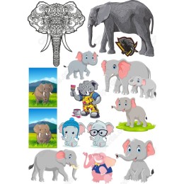 Elephant Bundle