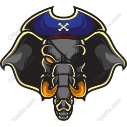 Pirate Elephant