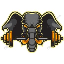 Elephant Barbell