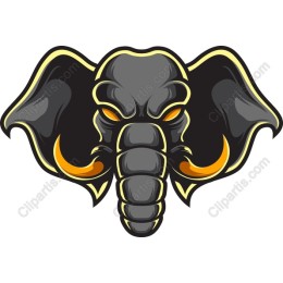 Powerful Elephant Head