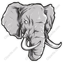 Majestic Elephant Head