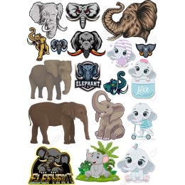 Elephant Bundle