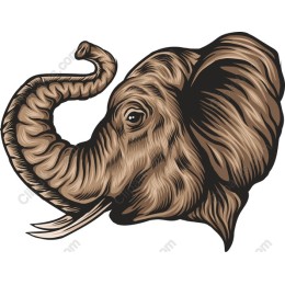 Elegant Elephant