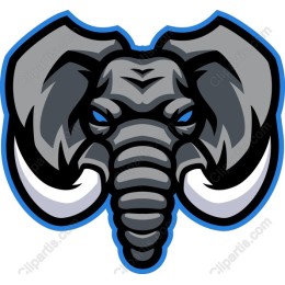 Fierce Elephant