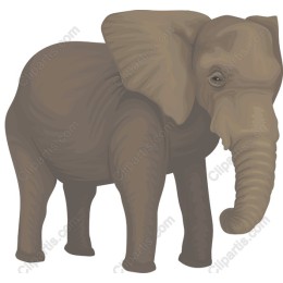 Majestic Elephant