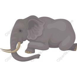 Relaxing Elephant