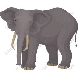 Majestic Elephant