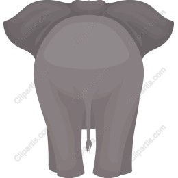 Charming Elephant