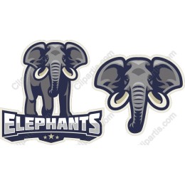 Elephant Pack - Majestic in and